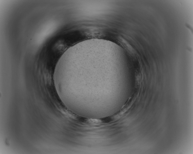 X0000097500429200803071806