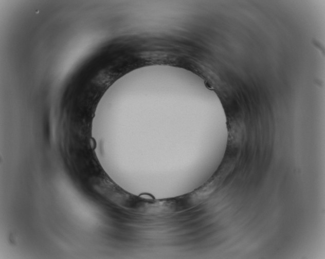 X0000097500430200803071806