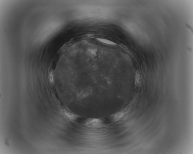 X0000097500431200803071806