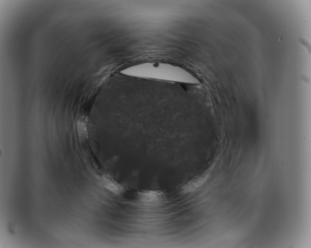 X0000097500432200803071806