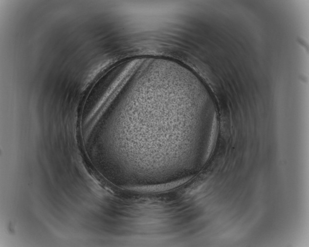 X0000097500434200803071806