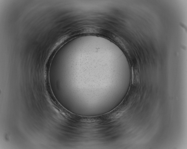 X0000097500435200803071806