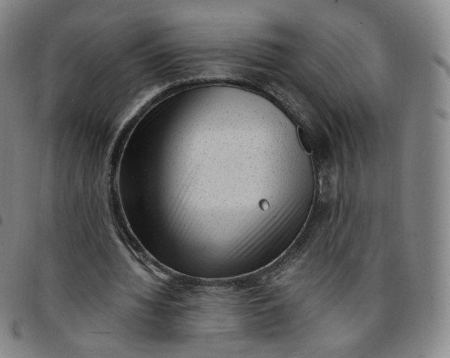 X0000097500436200803071806