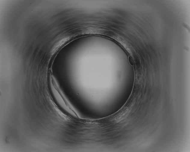 X0000097500437200803071806