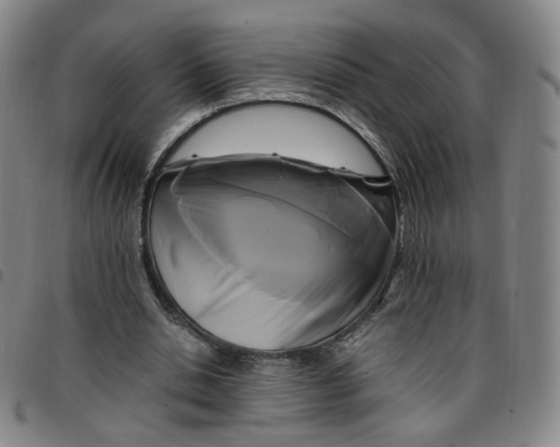 X0000097500438200803071806