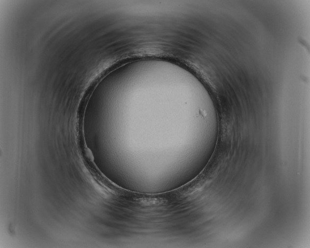 X0000097500439200803071806