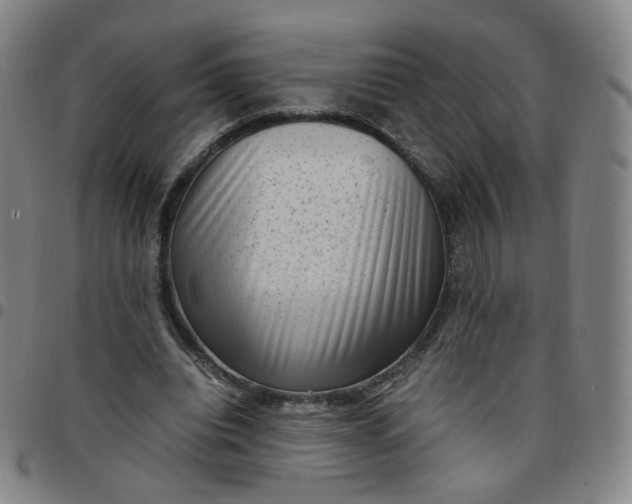 X0000097500440200803071806