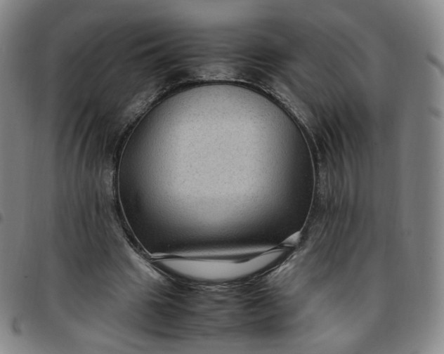 X0000097500441200803071806