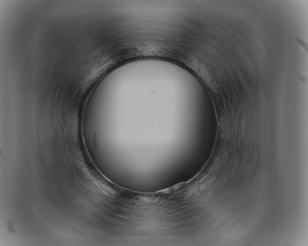 X0000097500442200803071806