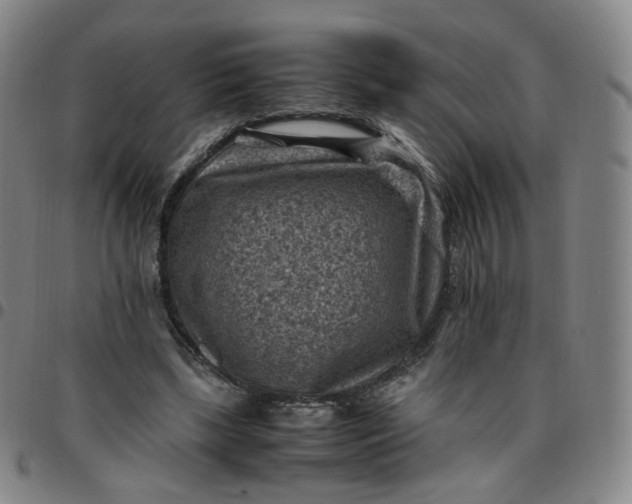 X0000097500443200803071806