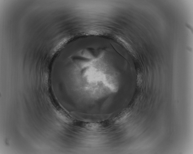 X0000097500444200803071806