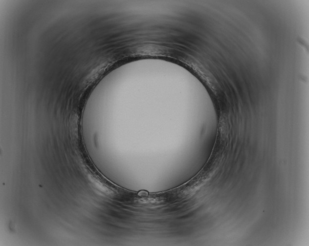 X0000097500445200803071806