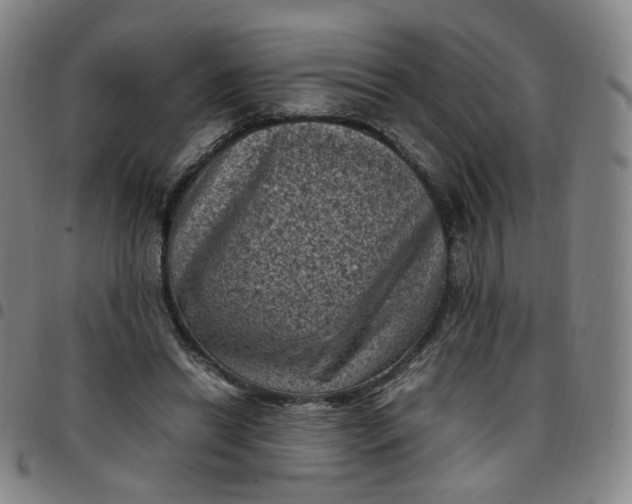 X0000097500446200803071806