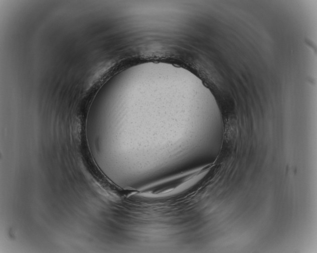 X0000097500448200803071806