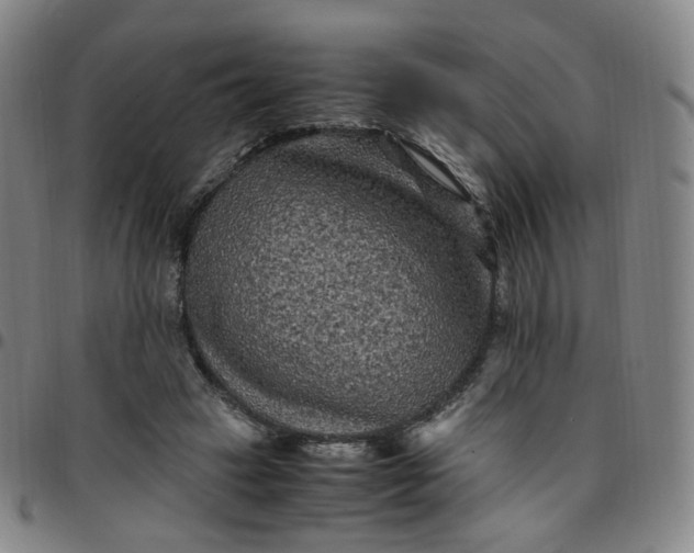 X0000097500449200803071806