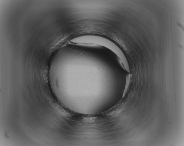 X0000097500450200803071806