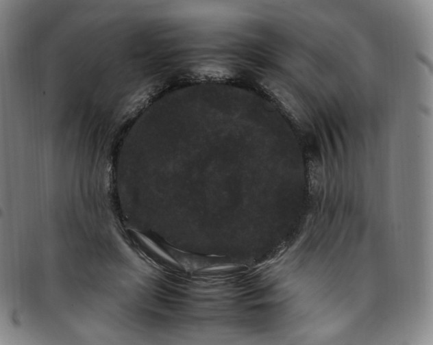 X0000097500451200803071806