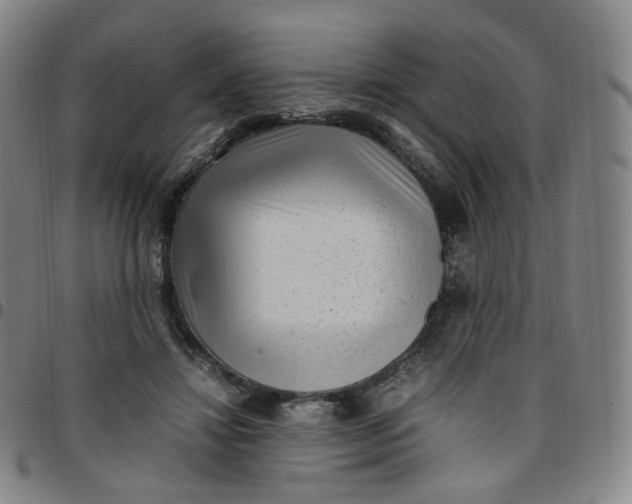 X0000097500452200803071806