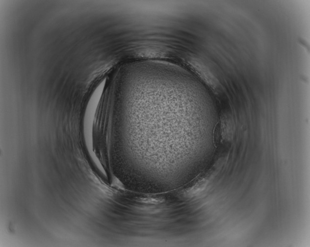 X0000097500453200803071806