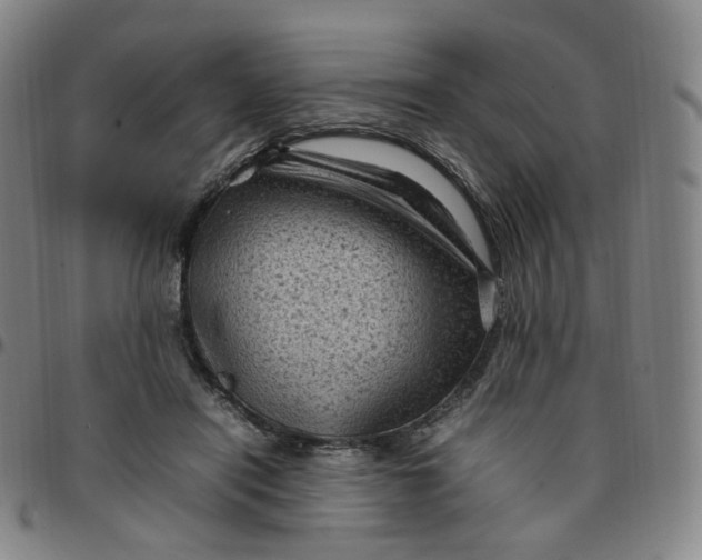 X0000097500454200803071806
