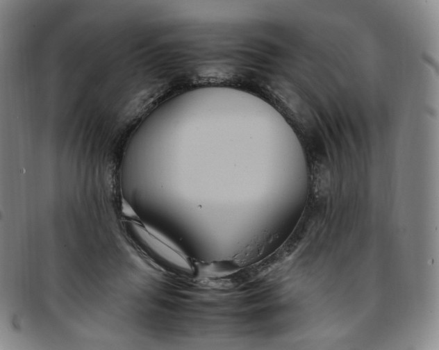 X0000097500455200803071806