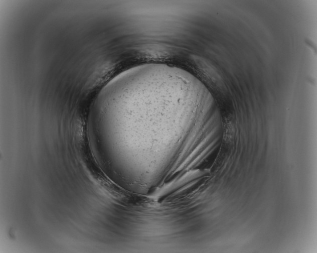 X0000097500456200803071806