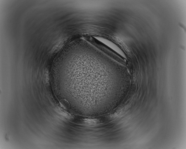 X0000097500457200803071806