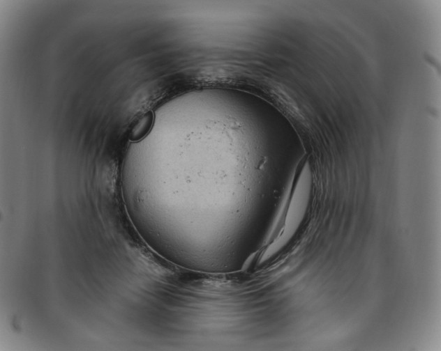 X0000097500458200803071806