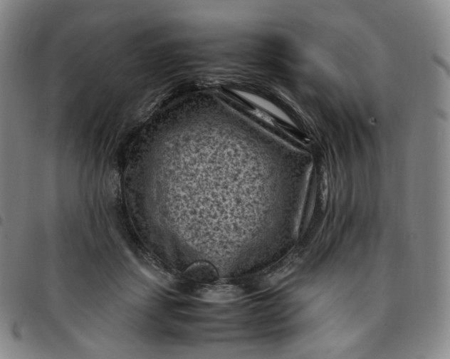 X0000097500459200803071806