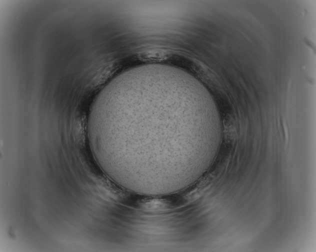 X0000097500460200803071806