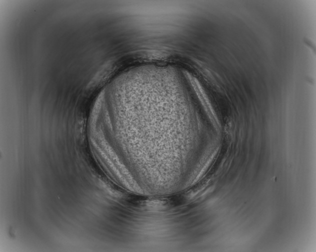 X0000097500462200803071806