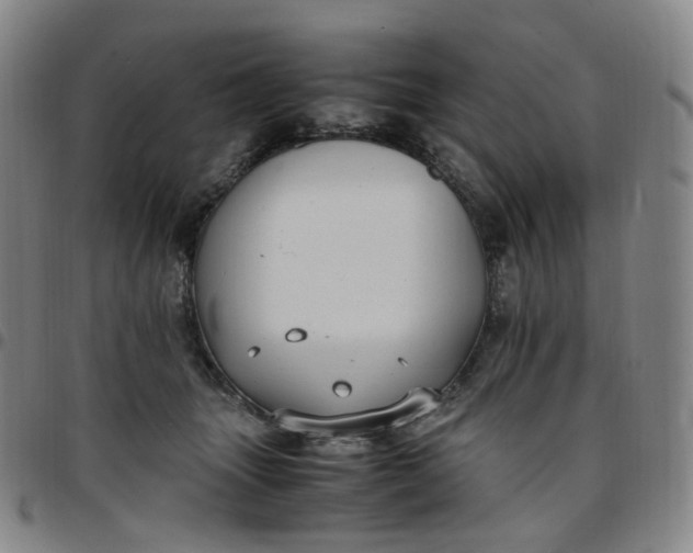 X0000097500463200803071806