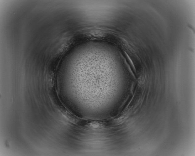 X0000097500464200803071806