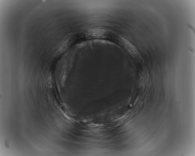 X0000097500465200803071806