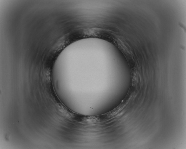 X0000097500466200803071806