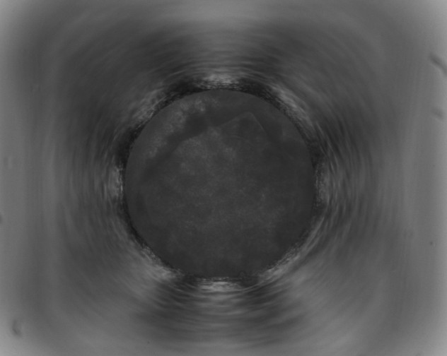X0000097500467200803071806