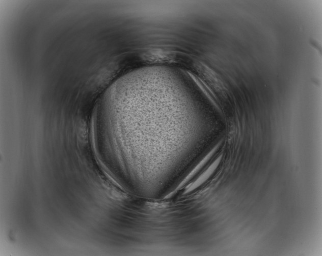 X0000097500469200803071806