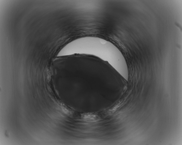 X0000097500471200803071806