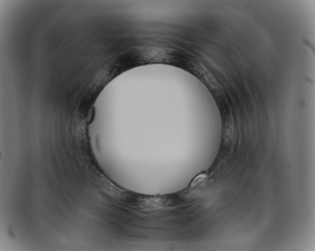 X0000097500473200803071806