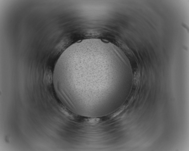 X0000097500474200803071806