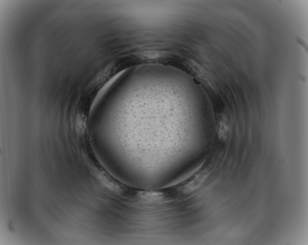 X0000097500476200803071806