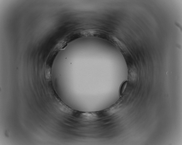 X0000097500477200803071806