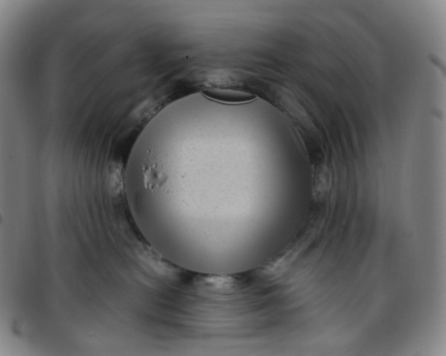 X0000097500478200803071806