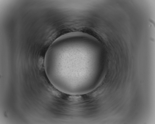 X0000097500480200803071806