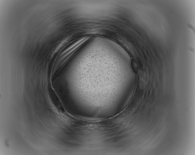 X0000097500482200803071806
