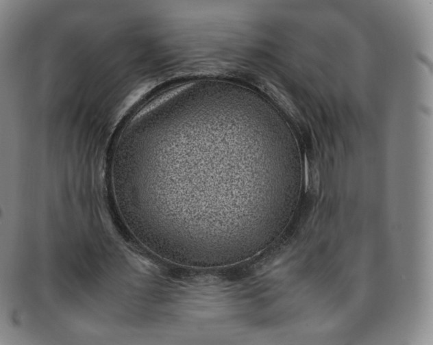 X0000097500483200803071806