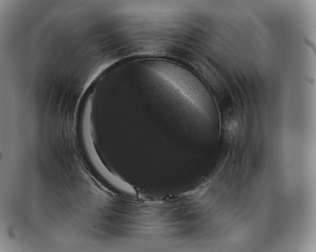 X0000097500484200803071806