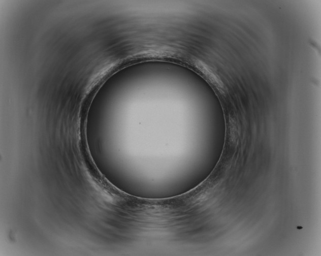 X0000097500486200803071806