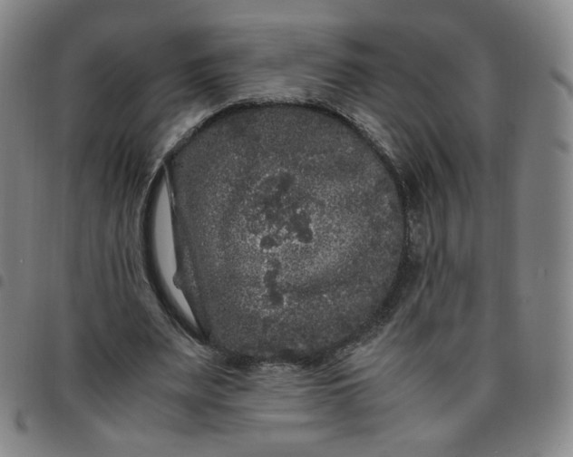 X0000097500487200803071806