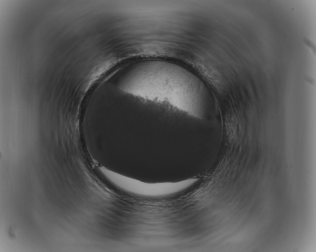 X0000097500488200803071806